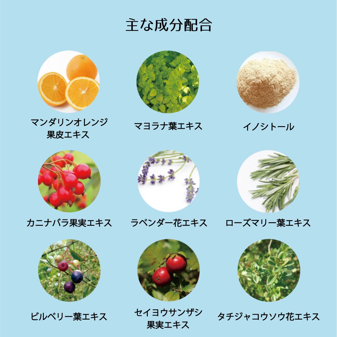 Amazon | アルファパルフリッセデザインケラチンシャンプー