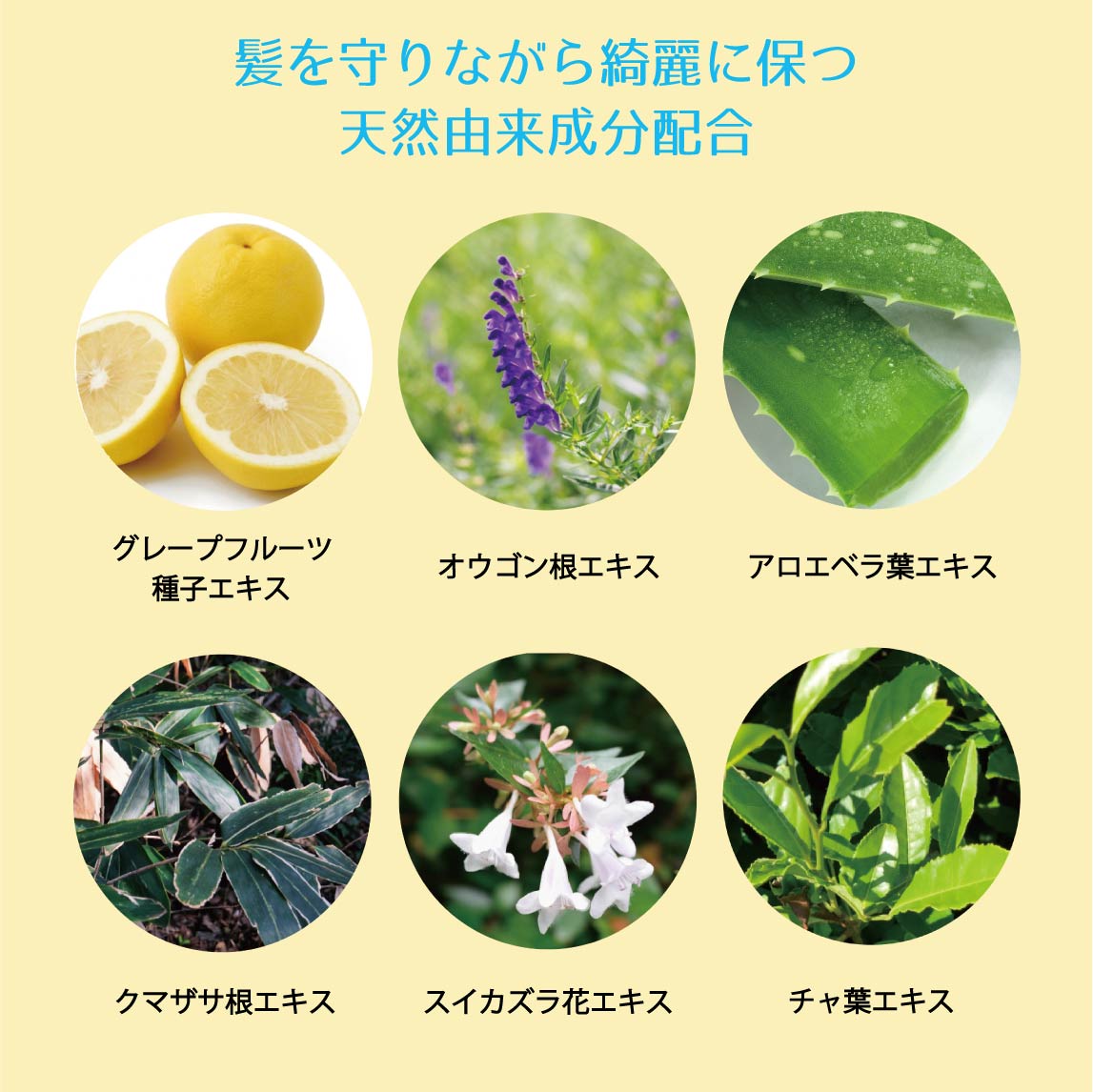 ラ・ジュルネスプレー 50g: スタイリング｜モッズ・ヘア公式サイトＭＨＧウェブストア