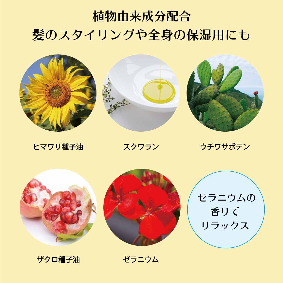 植物由来オーガニックヘアバーム