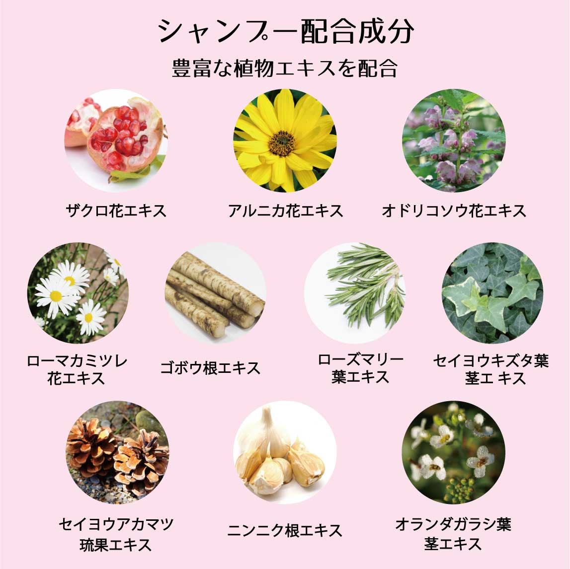 プライアントフィックスシリーズ