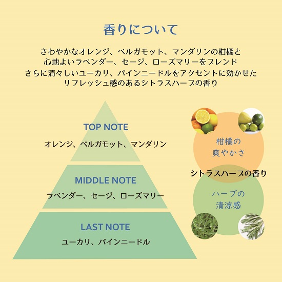 コロレプリュスシリーズ シャンプー＆トリートメント LARGEサイズセット