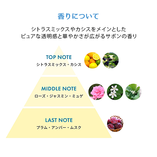 トゥールヌソルセラム 100ml