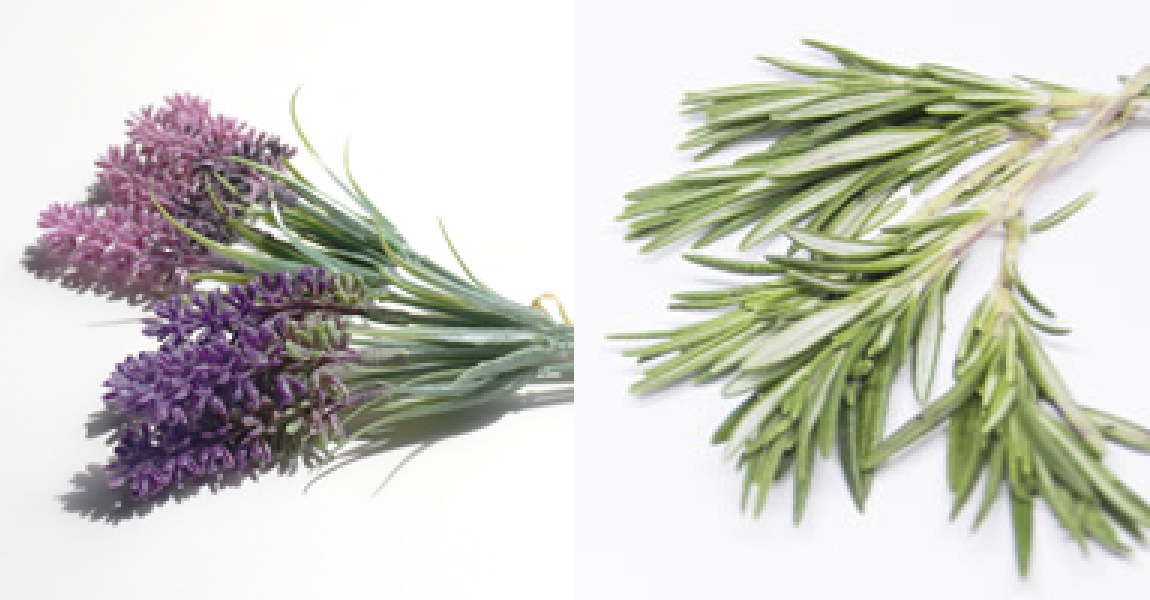 ラベンダー・ローズマリーの精油